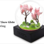 cool-snow-globe-spring