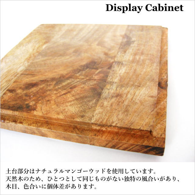 display-cabinet-l